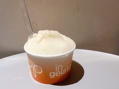 柚子-Dip in Gelato(富民路店)