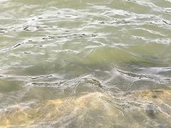 -海河游船-永乐码头(大悲院)