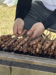 -268童话露营农场·烧烤·团建
