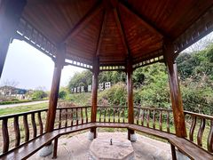 -空港花田景区