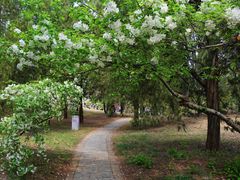 -国家植物园南园