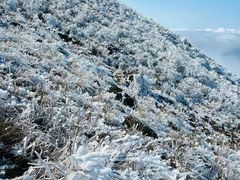 -金子山原生态旅游风景区
