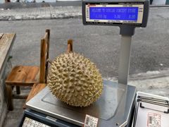 -都念榴莲·城市榴莲