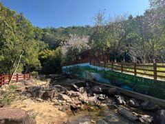 -广州白江湖森林公园