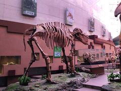 -陕西自然博物馆