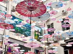 -柳州博物馆