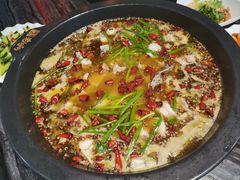 -老船舫·现做活鲜鱼馆(东郊记忆店)