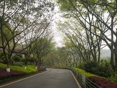 -重庆园博园
