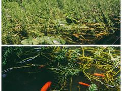 -箱美术馆私房菜(水晶郦城店)