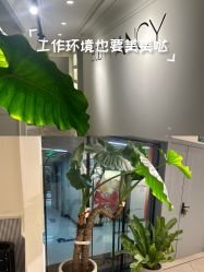 -Fancy梵汐·轻奢量肤定制