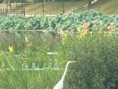 -中家鑫园温泉酒店鑫悦汤泉