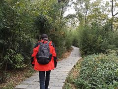 -大伊山景区
