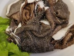 鲜脆毛肚-阳坊胜利涮羊肉(阳坊老店)