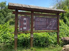 -杏花村文化旅游区