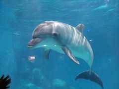 -福州罗源湾海洋世界旅游区