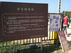 -北京东方普罗旺斯薰衣草庄园