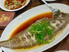 -长平肥姐白粥·海鲜打冷