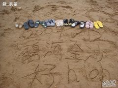 -碧海金沙
