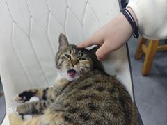 -老周炒拨拉(甘州总店)