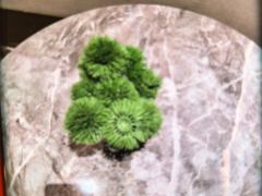 -漫·汤泉