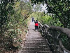 -梧桐山风景名胜区