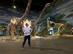 -自贡恐龙博物馆