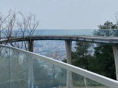 -缙云山景区
