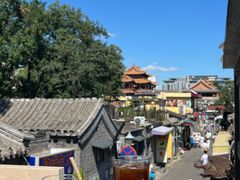 -Sirena海妖日咖夜酒