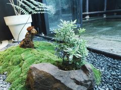 -Metal hands·铁手咖啡