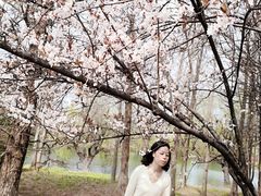 -贵阳市花溪国家城市湿地公园