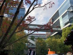 -虹桥新天地