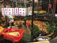 -荔城生鲜盛宴(番禺旗舰店)