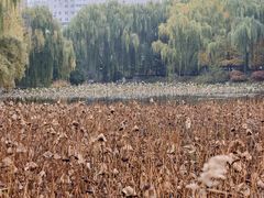 -白魁老号饭庄(安内店)