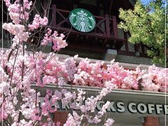 -星巴克臻选(思南公馆店)