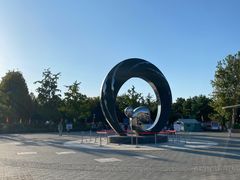 -大兴滨河森林公园