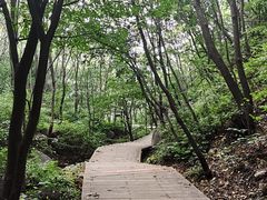 -大岭沟猕猴桃谷风景区