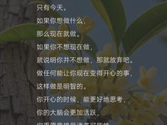 -曼朗心理咨询·旗舰店