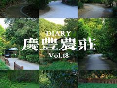 -庆丰农庄·团建·农家菜(大浪店)