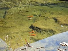 -车溪民俗旅游区