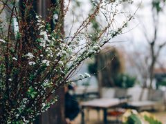 -悦哉·派对·草坪婚礼·围炉煮茶(三圣乡店)