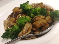 鲍汁蘑菇-峨嵋酒家总店(车公庄店)