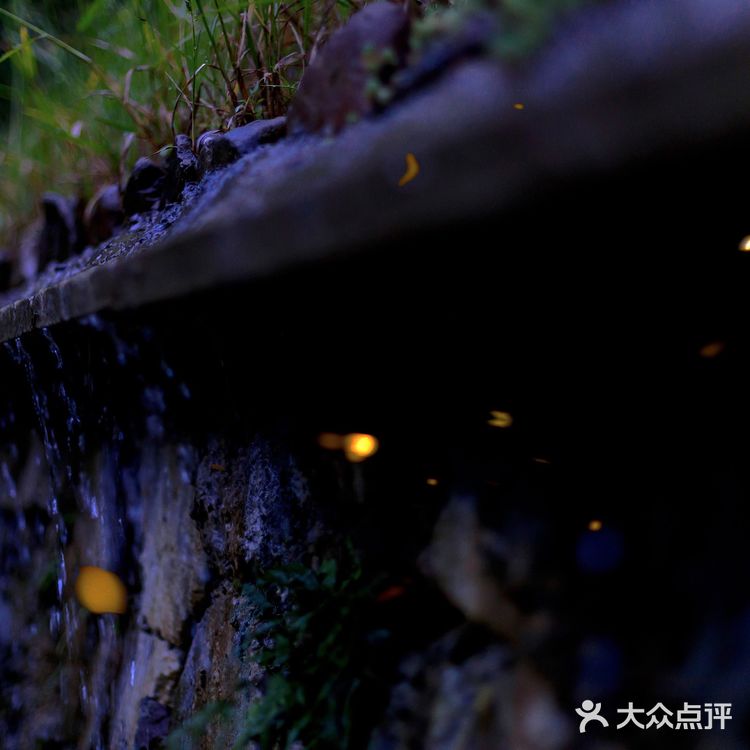 江浙沪周边游 | 去千岛湖过个完美夏天,两天一夜攻略