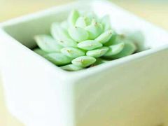 -桤木河湿地公园