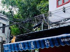 -清平中药材专业市场