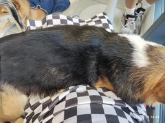 -怪兽屋·羊驼·猫咖·狗咖(俊华广场店)