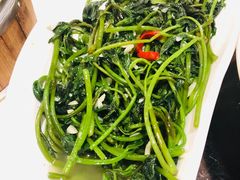 清炒苕尖-刘胖子家常菜·蹄花焖藕(中南店)