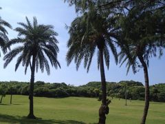 鹅銮鼻灯塔-鹅銮鼻灯塔