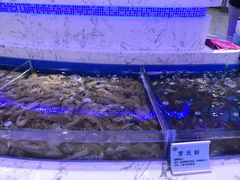 水产区-澜悦港海鲜体验主题餐厅