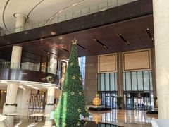 -新都绿城喜来登酒店大堂吧