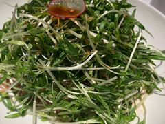 -凤凰湘语(浦东旗舰店)